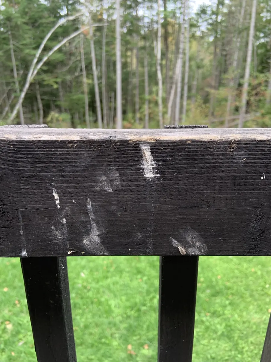Bird droppings accumulated on a dark wooden deck railing below a bird feeder