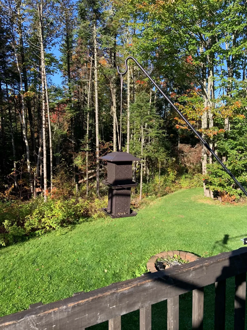 New brown backyard bird feeder hanging in the same backyard after replacing the green feeder